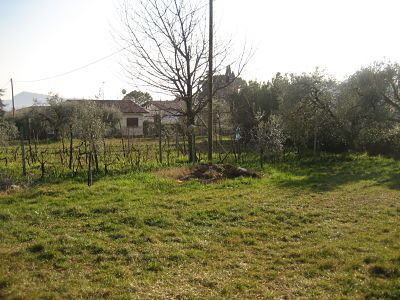 Vani e accessori definizione