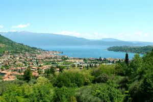 immagine annuncio vetrina