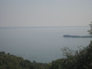 immagine annuncio vetrina