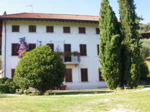 immagine annuncio vetrina