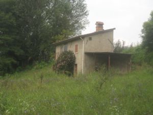 immagine annuncio vetrina