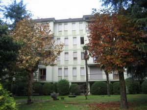 immagine annuncio vetrina