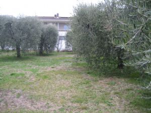 immagine annuncio vetrina
