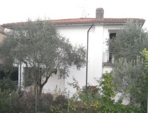 immagine annuncio vetrina