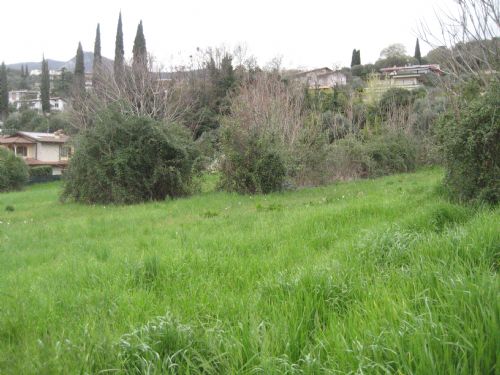 fotografia ingrandita