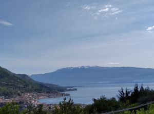 immagine annuncio vetrina