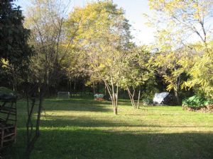 immagine annuncio vetrina