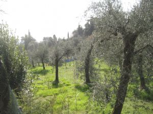 immagine annuncio vetrina