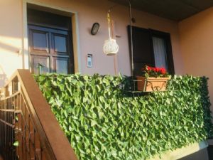 immagine annuncio vetrina