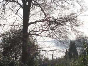 immagine annuncio vetrina