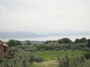 immagine annuncio vetrina